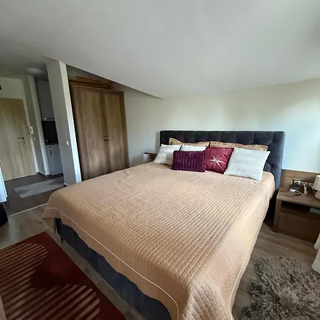 Stylish E61 In Gardens Boroveț