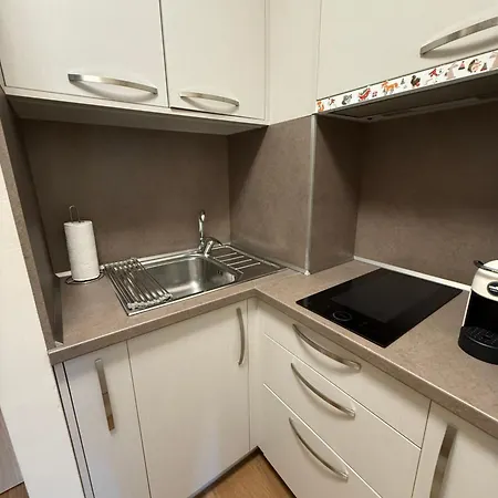 Stylish E61 In Gardens Boroveț