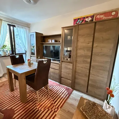 Stylish E61 In Gardens Apartament Boroveț