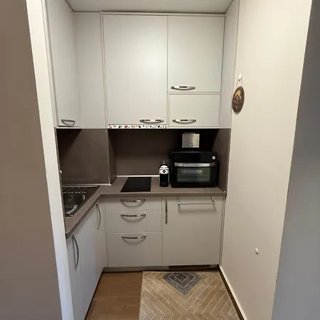 Stylish E61 In Gardens Boroveț