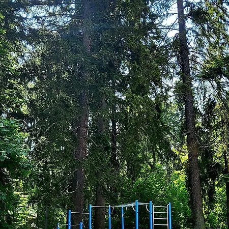 Stylish E61 In Gardens Boroveț