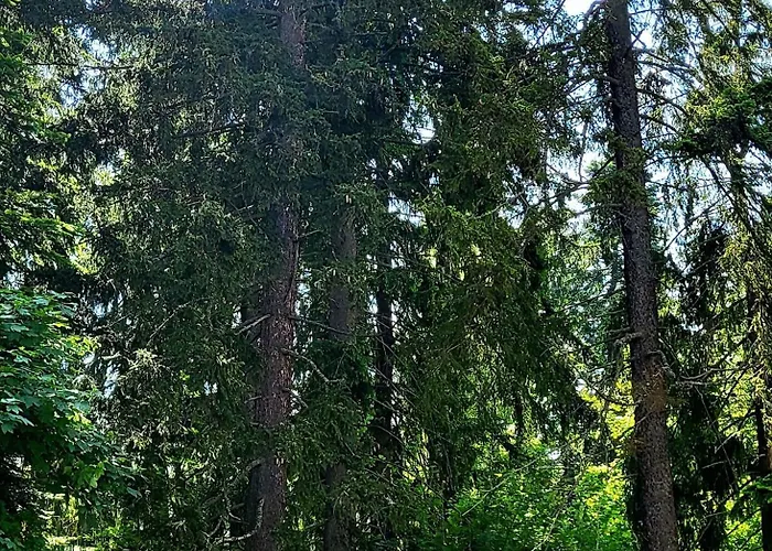 Stylish E61 In Gardens בורובץ